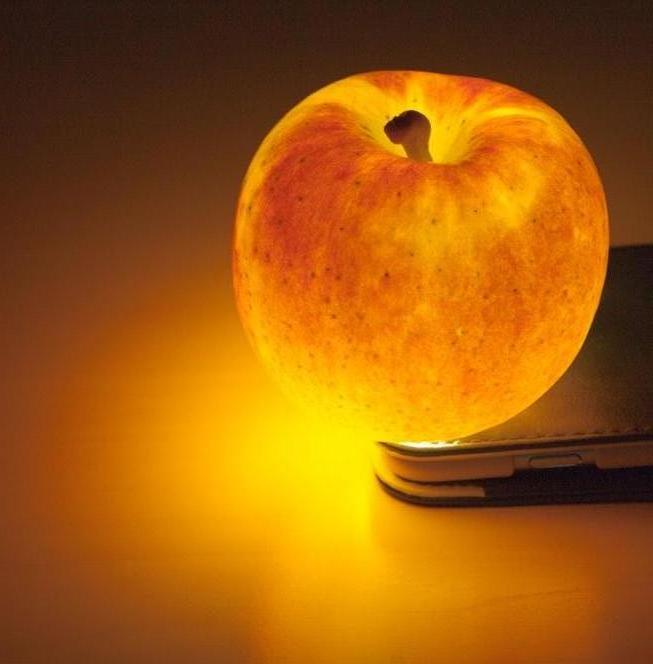 20ケース限定!青森県産 究極の蜜入りりんご「高徳(こうとく)」